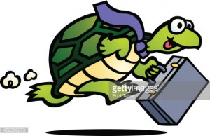turtle with briefcase